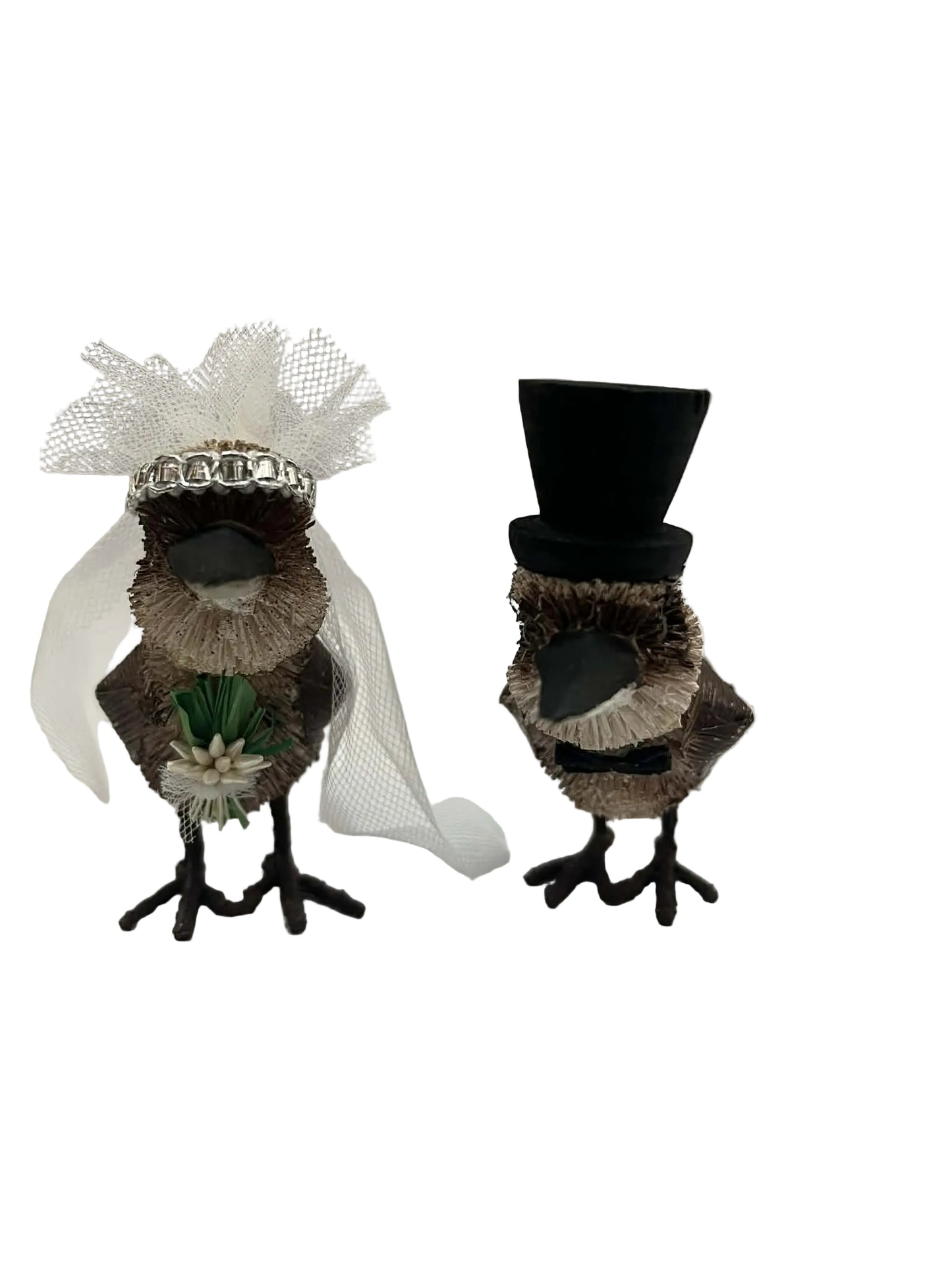 Australian Bride and Groom Birds 37894
