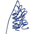 Royal Blue Spiral spray